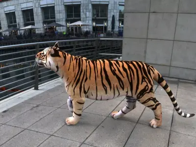 Tiger 3D model get