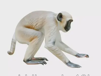 Gibbon 3D Model with Textured Fur and Limbs Low-poly 3D model