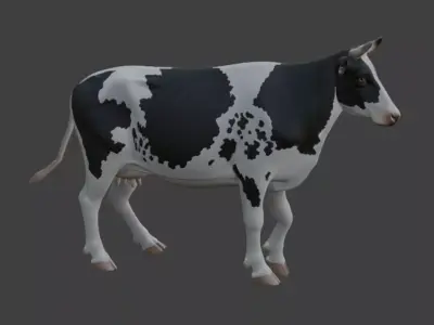 Rigged Holstein Friesian Cow 3D Model 3D model