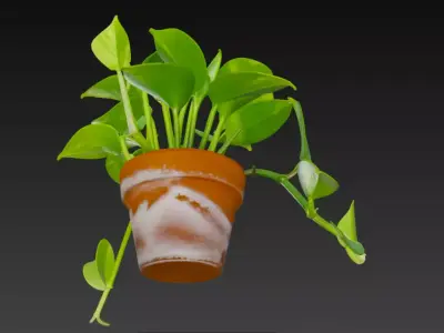 3D Pothos Plant Pot 3D model