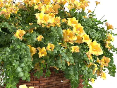 Hanging basket flowerpot rattan pot with flowers  3D model