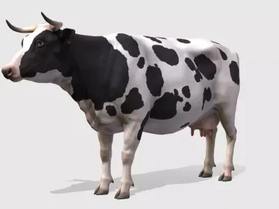 COW realistic Low-poly 3D model