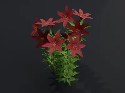 Lilium Lily Plant Low-poly 3D model