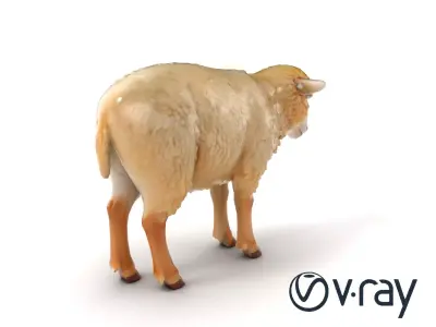 Fluffy Sheep Grazing Stance model pack Low-poly 3D model