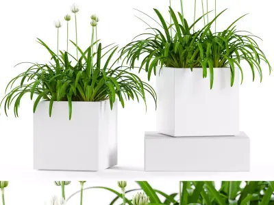 Plants collection 15 3D model purchase