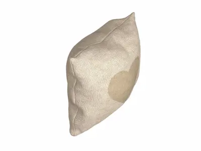 Pillow 06 3D model