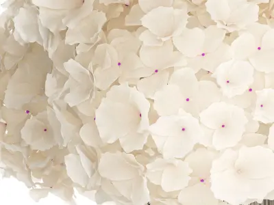 Solemn bouquet of white flowers in a vase with hydrangea 370 3D model