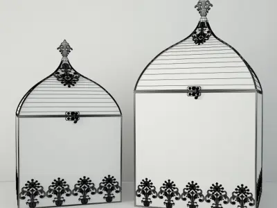 Square Birdcages 3D model