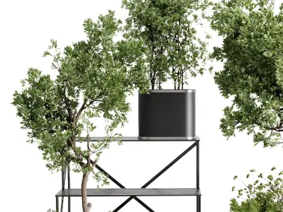 collection Indoor outdoor plant 692 plant stairs stand metal  3D model