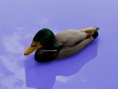 Duck 3D model Low-poly 3D model