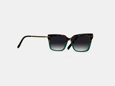 Vela Sunglasses in Aventurine Tortoise with Polished Gold 3D model