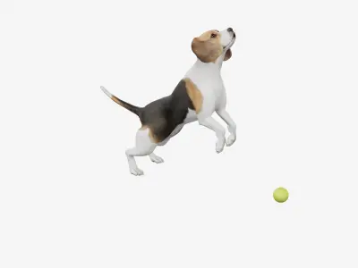 dog beagle 3D model