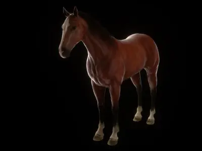 Three Horses Low-poly 3D model