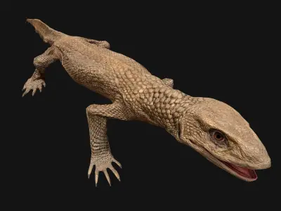 Varan Lizard Reptile Monster Low-poly 3D model