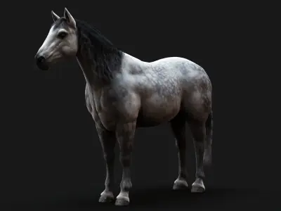 Horse Dapple Grey RIG  XGEN 3D model