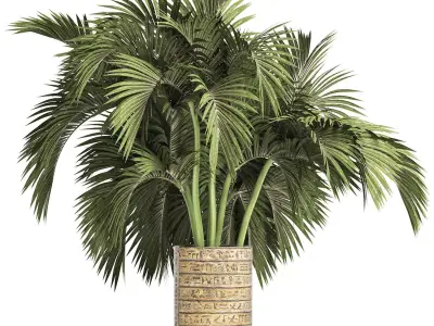 Plants Collection 163 Egyptian Palm 3D model