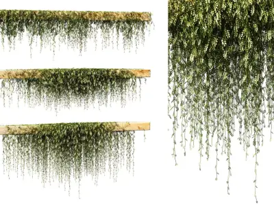 Leaves on the vine for beams or ceilings v3 3D model