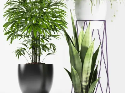 plants set 125 3D model