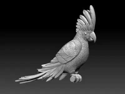 parrot  cacadu 3D print model