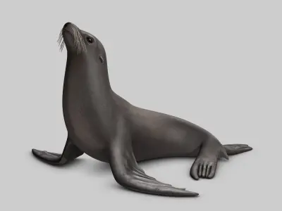 Sea Lion V2 3D model