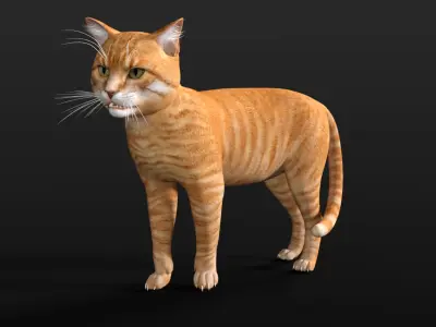 Orange cat Low-poly 3D model