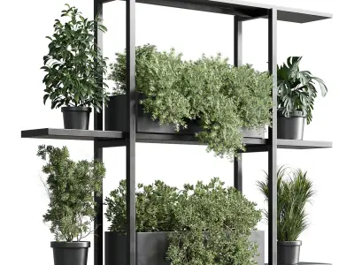 Standing metal shelf with a set of plants Low-poly 3D model