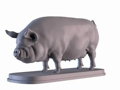 Middle White Pig 3D print model