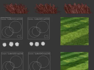 Mowed Lawn 3D model