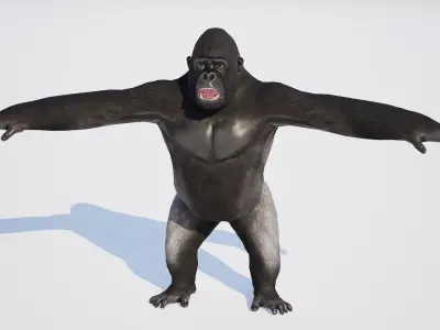 Gorilla 3D model shop