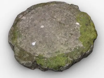 Mossy stone Low-poly 3D model