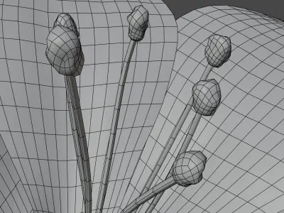 Flower in vase Polemonium caeruleum Low-poly 3D model