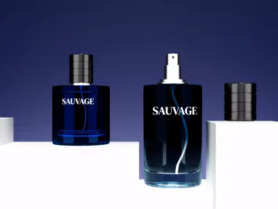 3D Sauvage Perfume Bottle 3D model