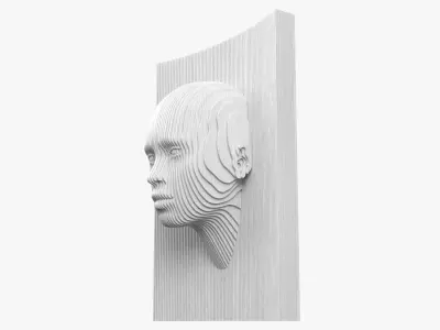Modern Parametric Human Head Wall Art 3D model