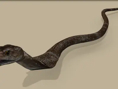COBRA SNAKE RIGGED ANIMATED 7 Low-poly 3D model