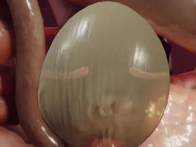 Guinea Pig Internal Anatomy Low-poly 3D model