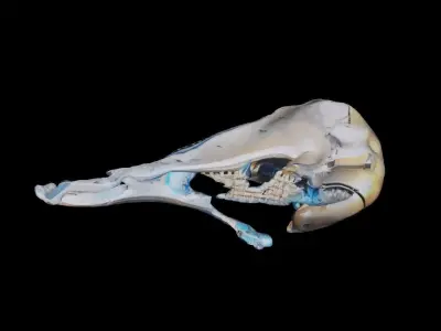 Robotic Hammer Free low-poly 3D model