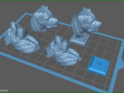 Rottweiler gloomy bust 3D print model