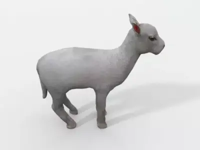 Little Goat Low-poly 3D model