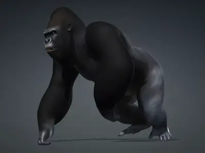 Gorilla-A1 3D model