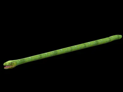 Green Snake Rig 3D model