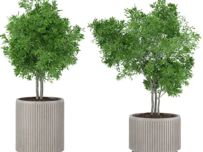 indoor plants 22 3D model
