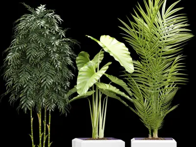 plants set 127 3D model