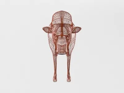 Calf Mammal Low-poly 3D model