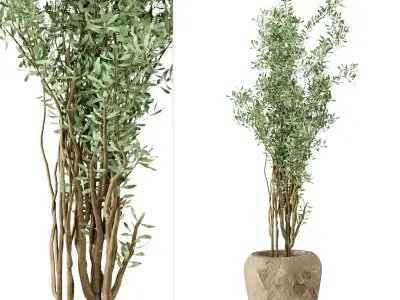 Outdoor Plants tree in rusty Concrete Pot  Set 1 3D model