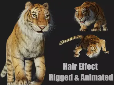 rigged tiger wild cat beast  Low-poly 3D model