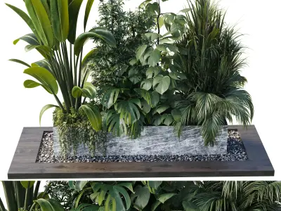 Outdoor plant box- Trees and shrubs in pot Set 145 Low-poly 3D model