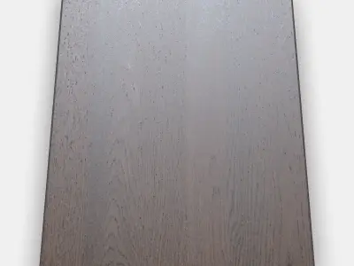 SINARP By Low-poly 3D model