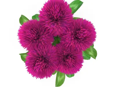 Flower Clover 3D model