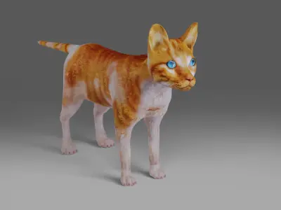 Calico Cat Rigged V2 in Blender Low-poly 3D model