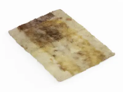 Soft Wool Rug 3D model